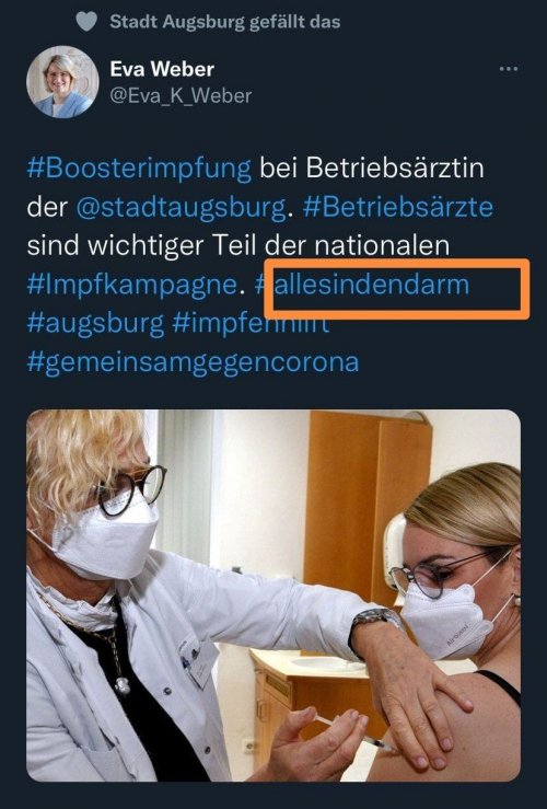 VollamArsch
