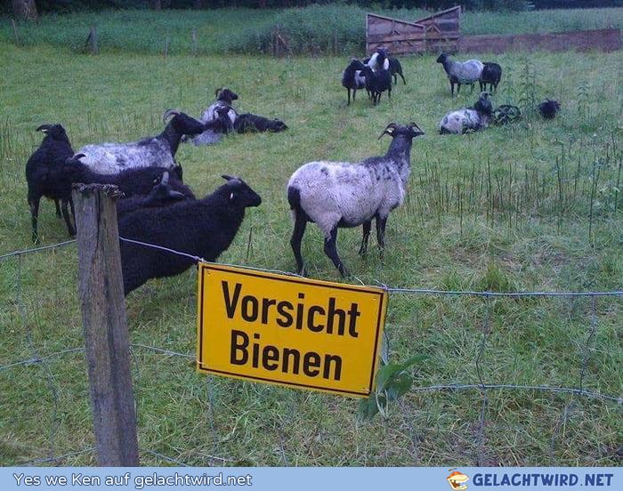 Vorsicht bidde