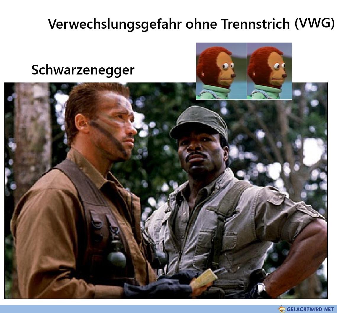 VWG mit Arnold