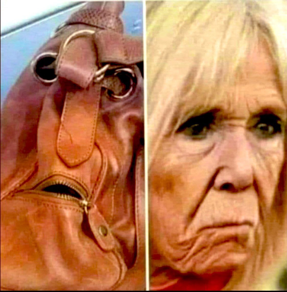 VWG mit Frau Macron
