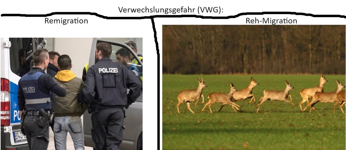 VWG Remigration / Reh-Migration