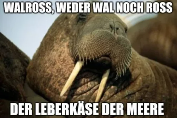 VWG zwo punkt null