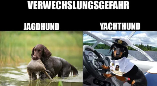 VWG