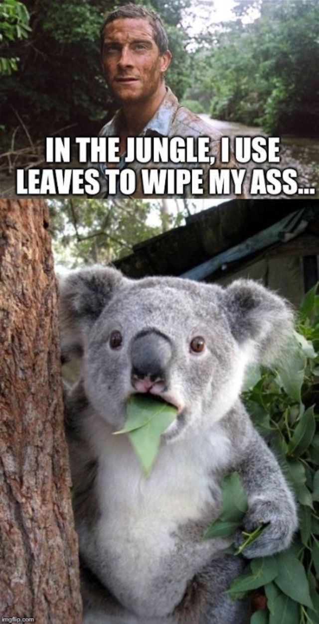 Waff?!