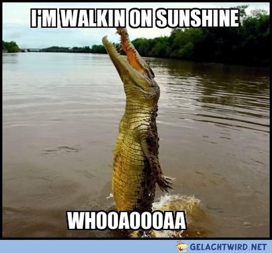 Walking on shunshine