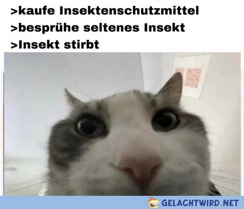 Was ein Mist