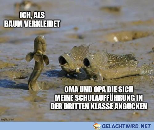 Was für eine performance