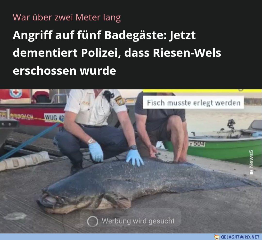 Was ist denn jetzt los?!