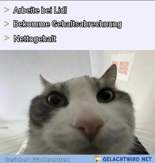 Was soll das