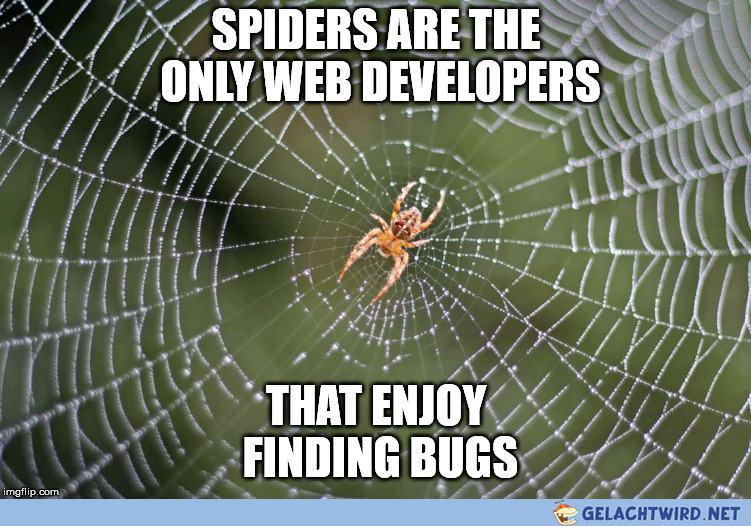 Web develper