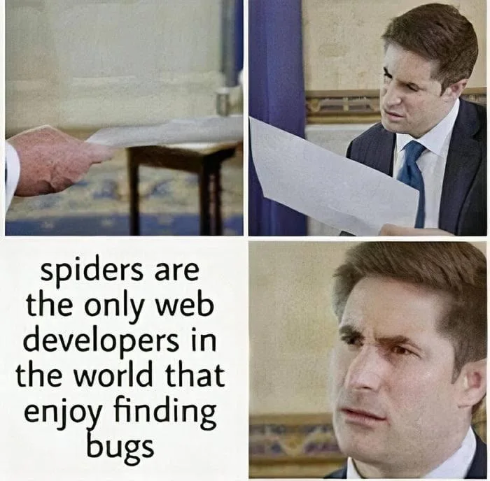 Webentwickler