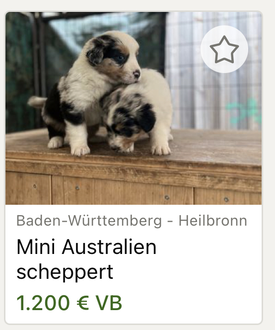 Weg vom Zaun, sonst scheppert's!