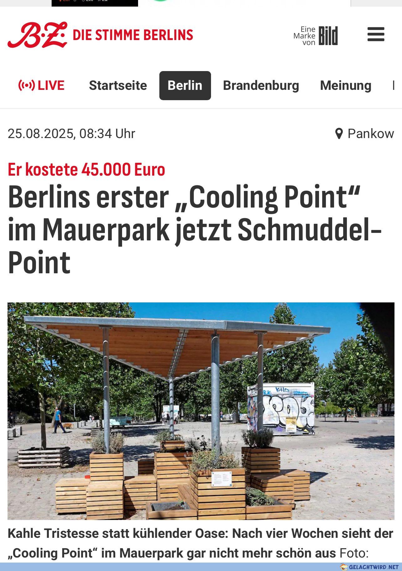 Wegen Merkel!