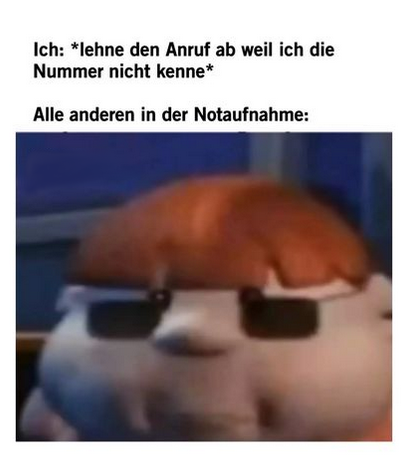 welcher hs nervt