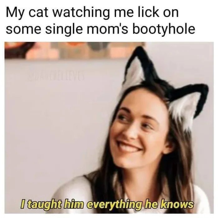 Wenn ich eine Katze hätte