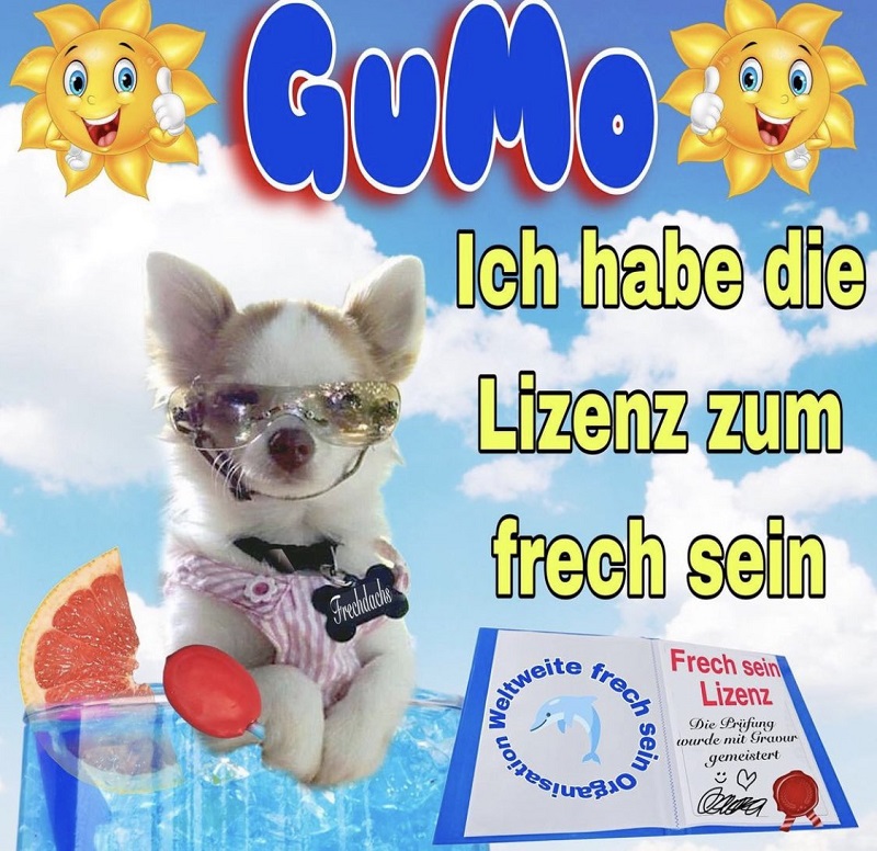wer hat uns programmiert?