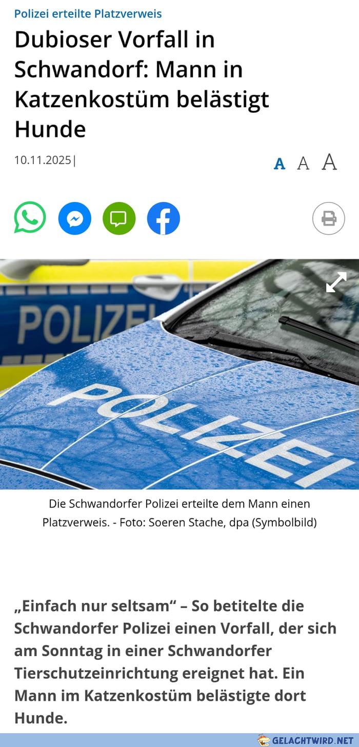 Wer von euch war das?