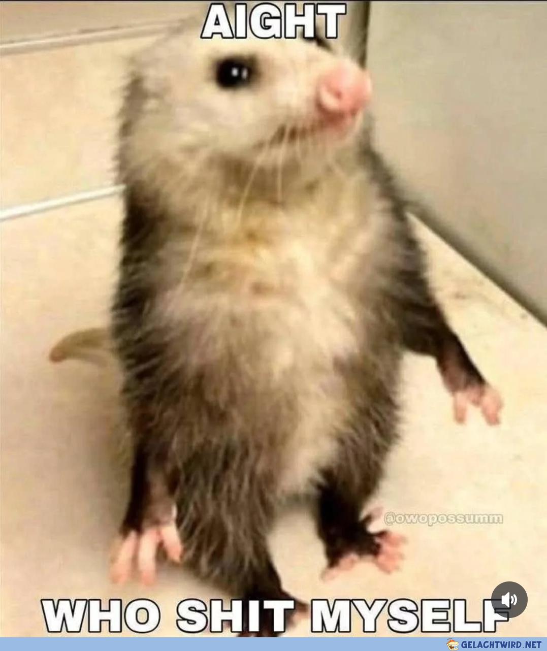 Wer