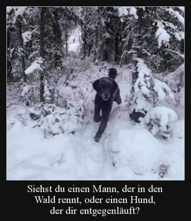 Wieso nicht beides?