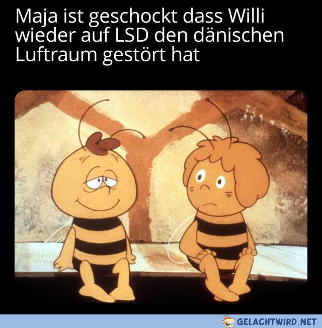 Willi pls