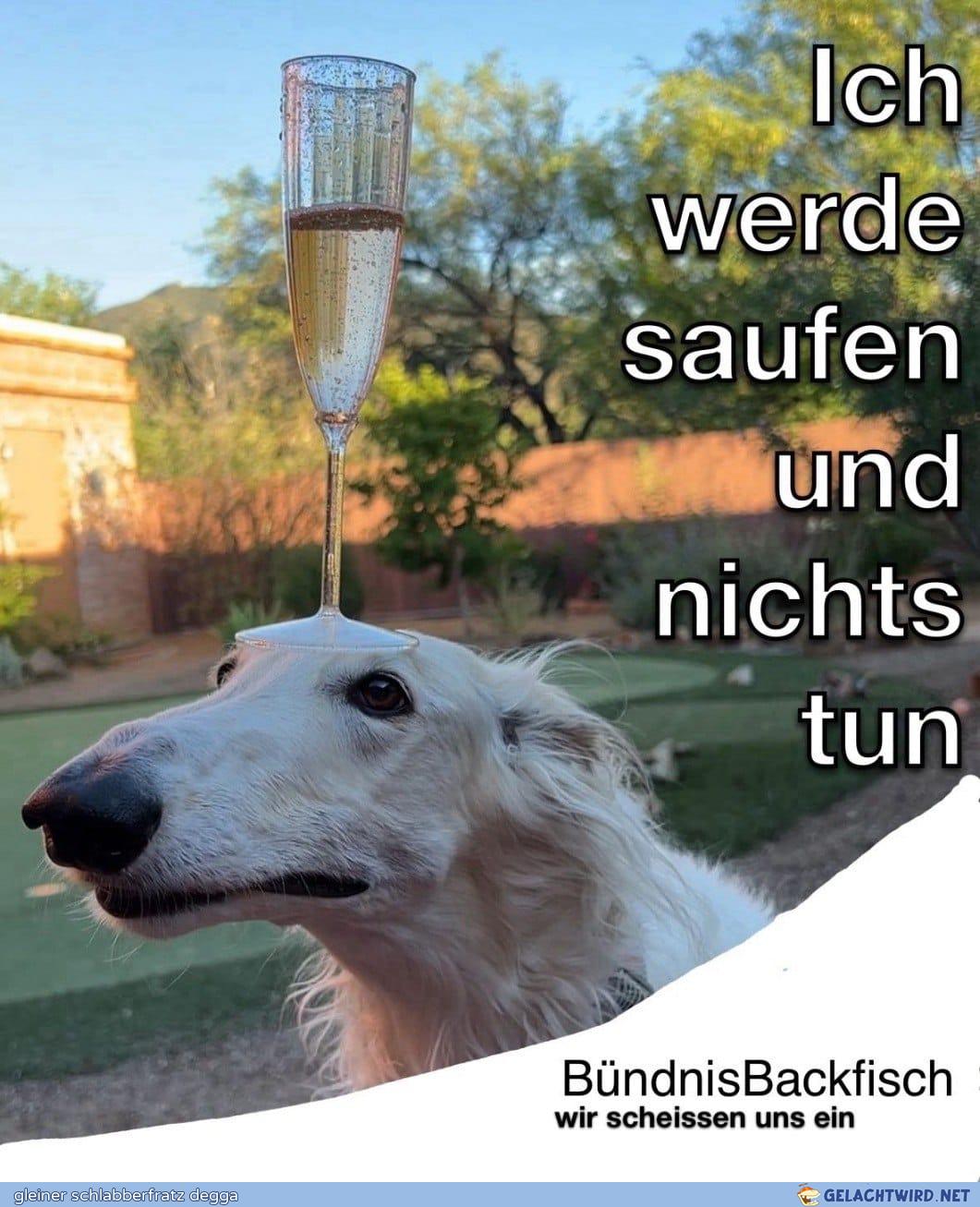 Wind hünder