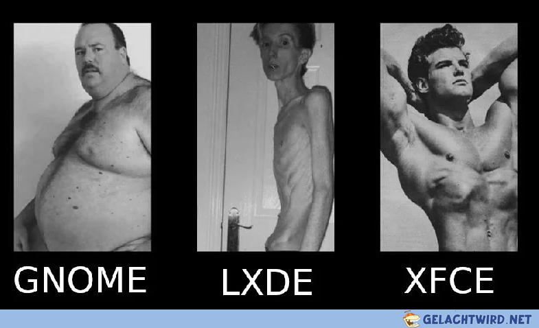 Window Manager
