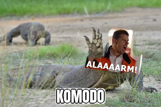 Wird immer bekloppter