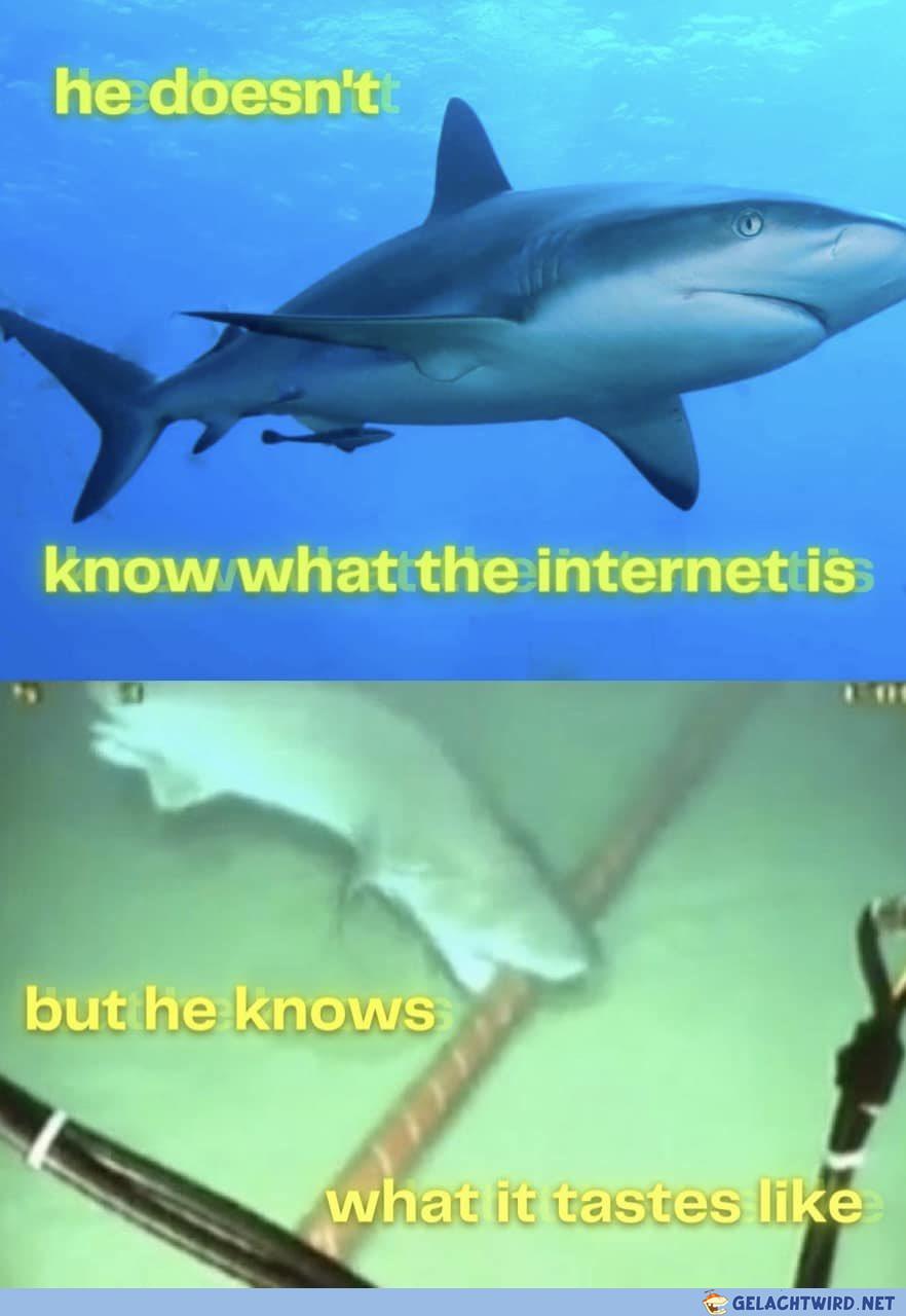 wireshark