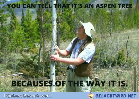 Wissenschaft ist einfach