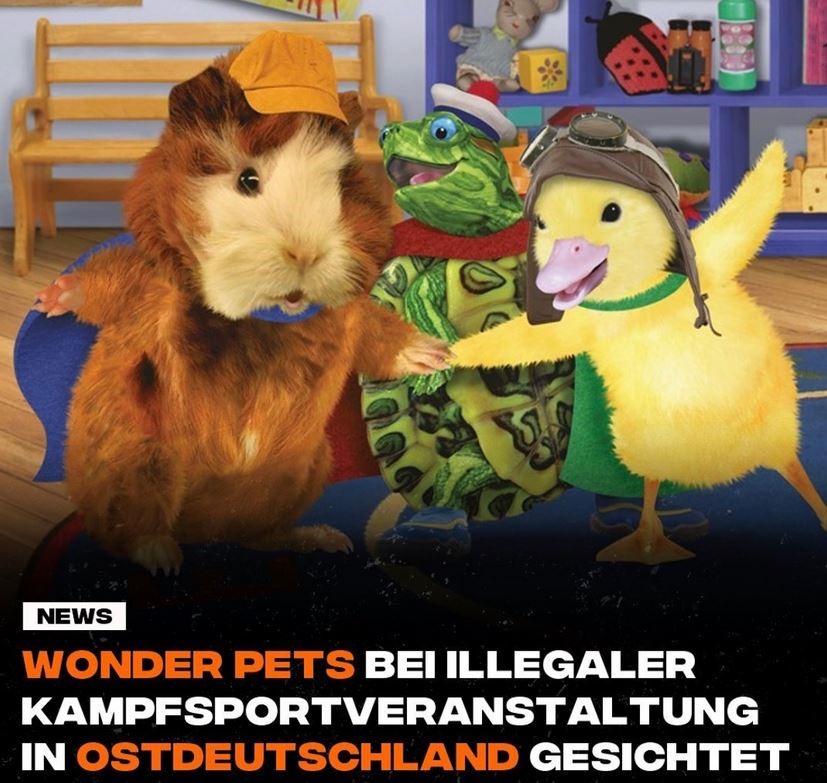 Wonder Pelts