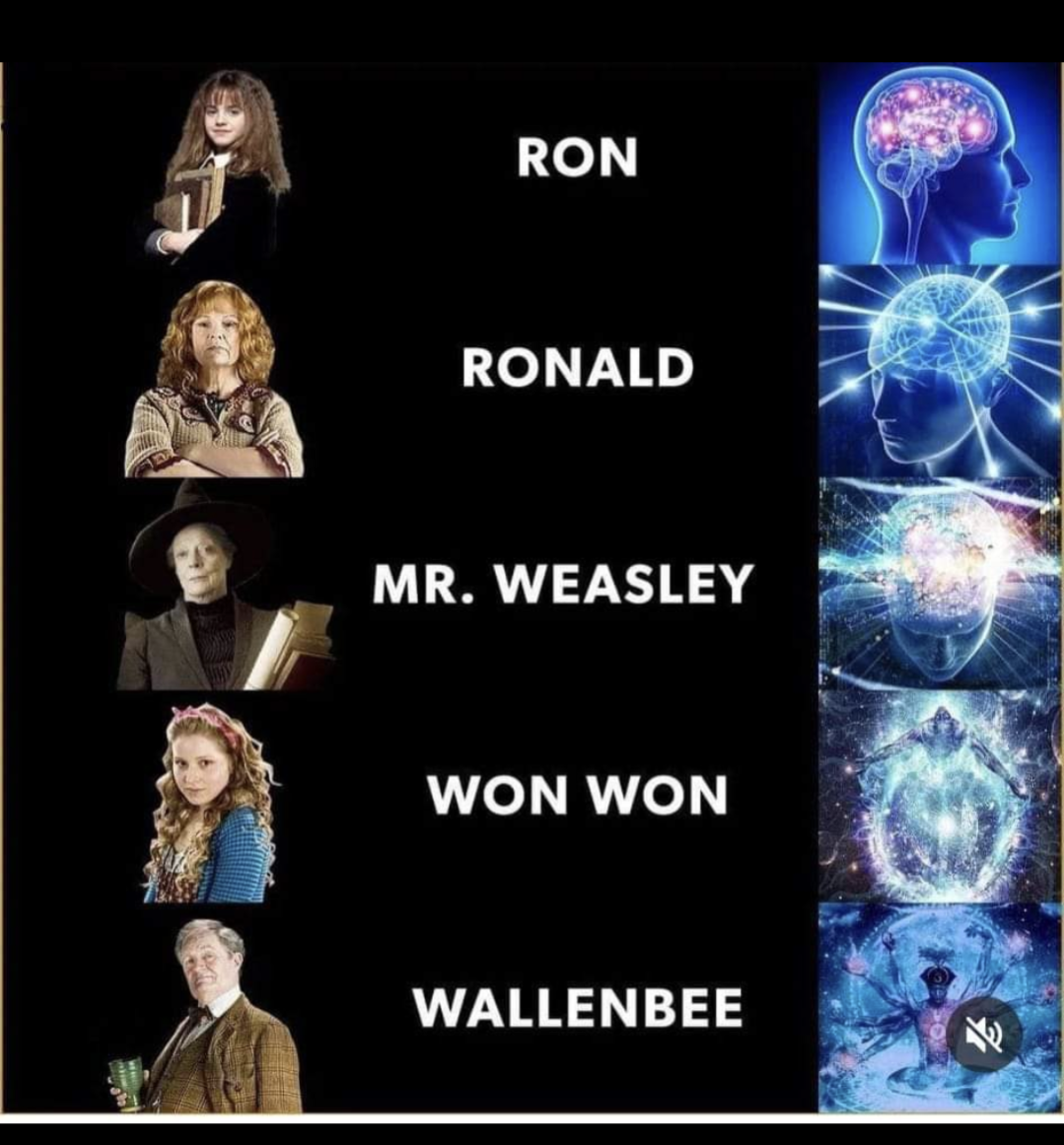 Wongel pls