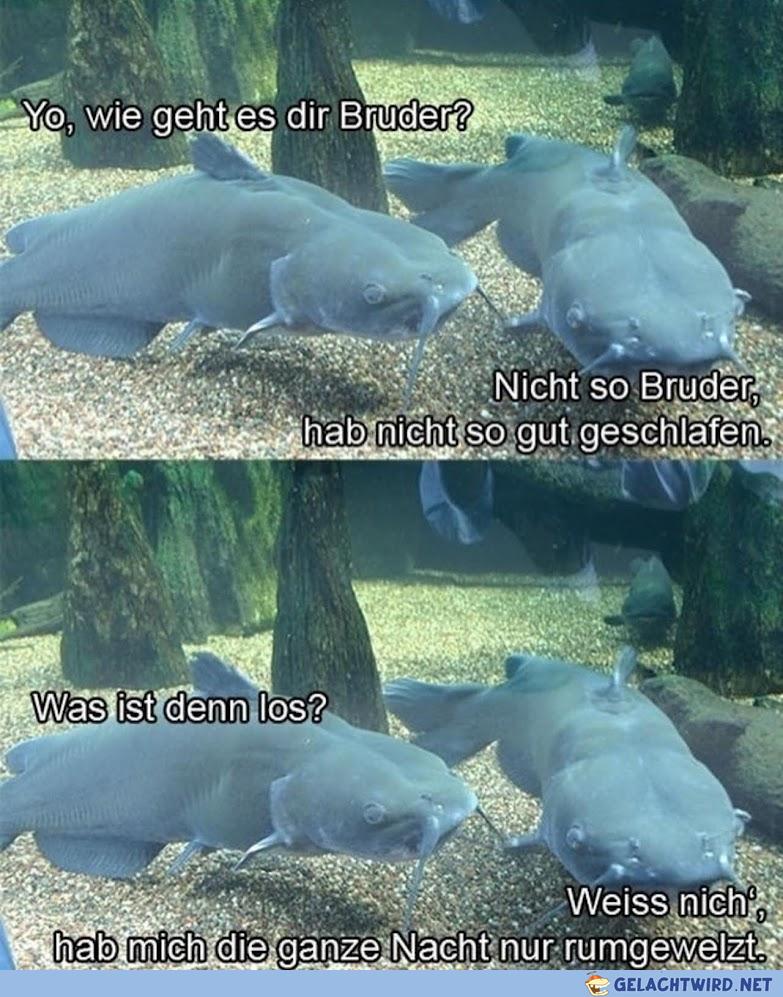 wälz