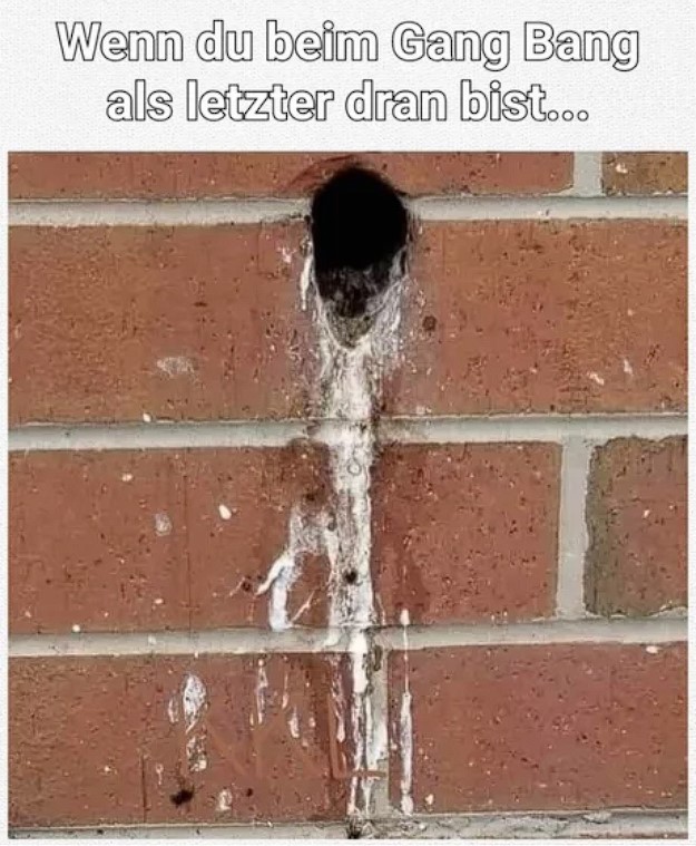 Würde nicht