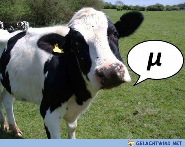 X-Cow