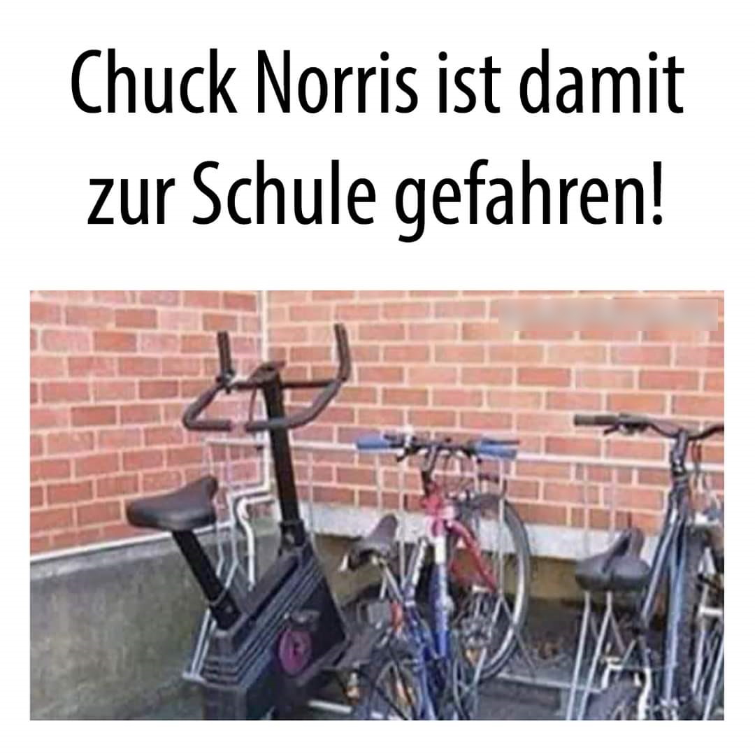 XD XP