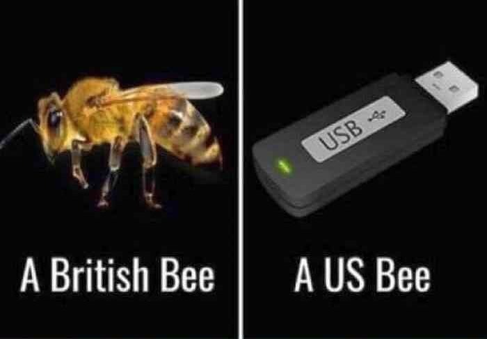 XD