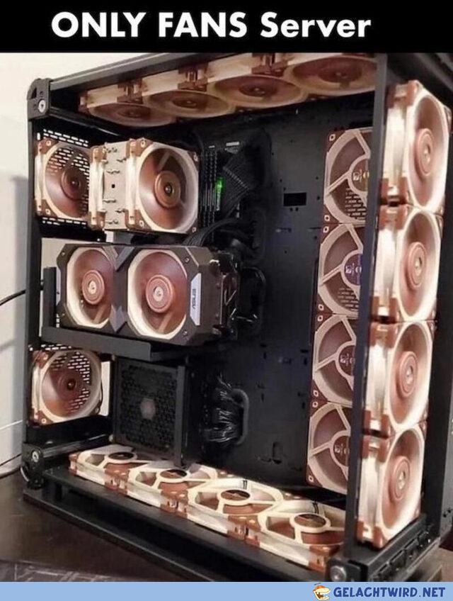 XD