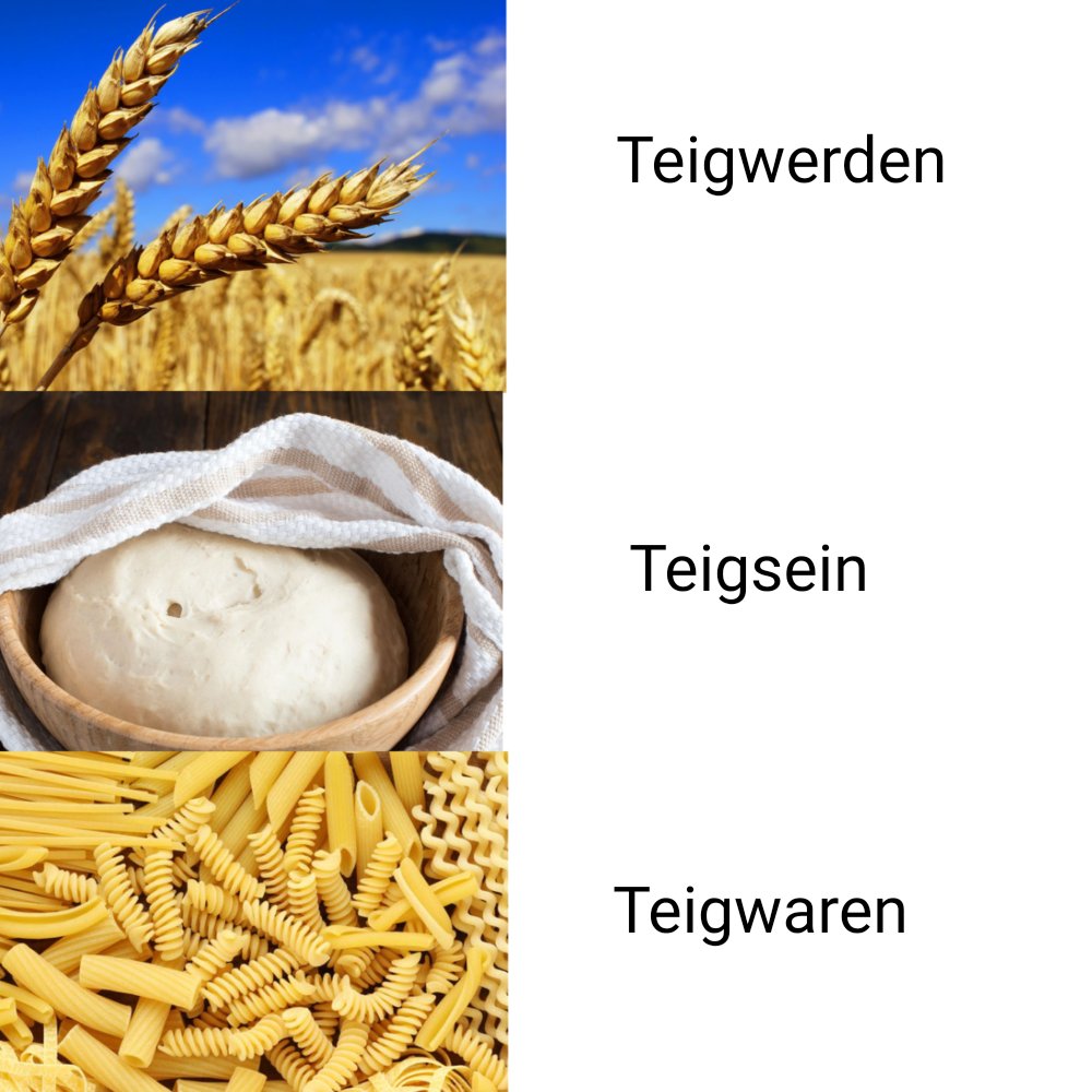 xD