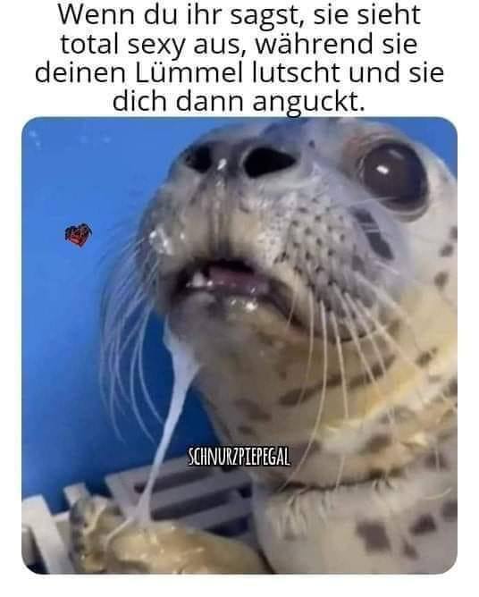 xD