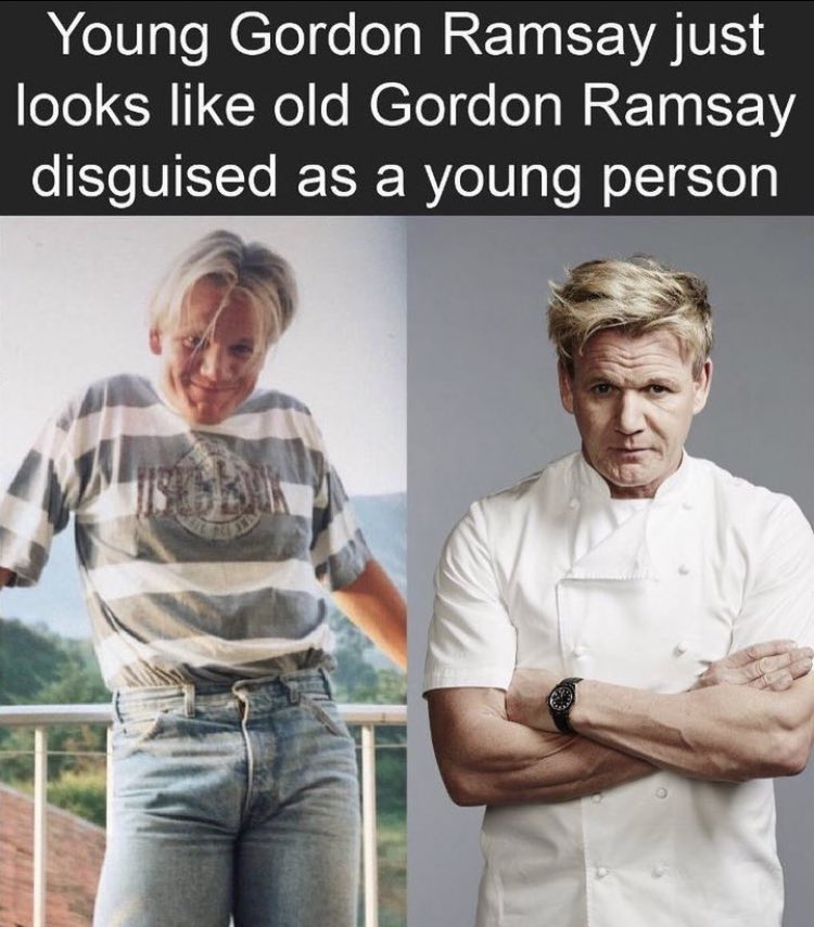 You donkey!