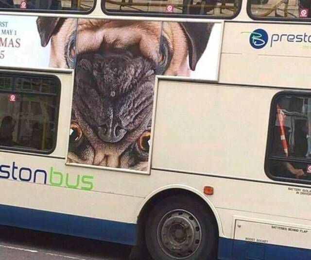 You had one job
