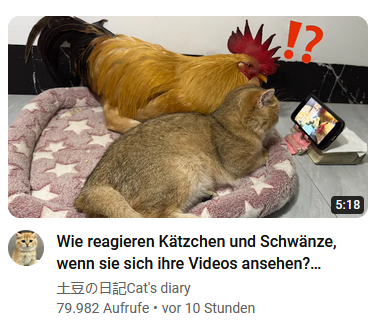 YT Translator