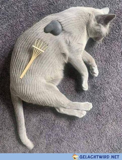 Zen garden
