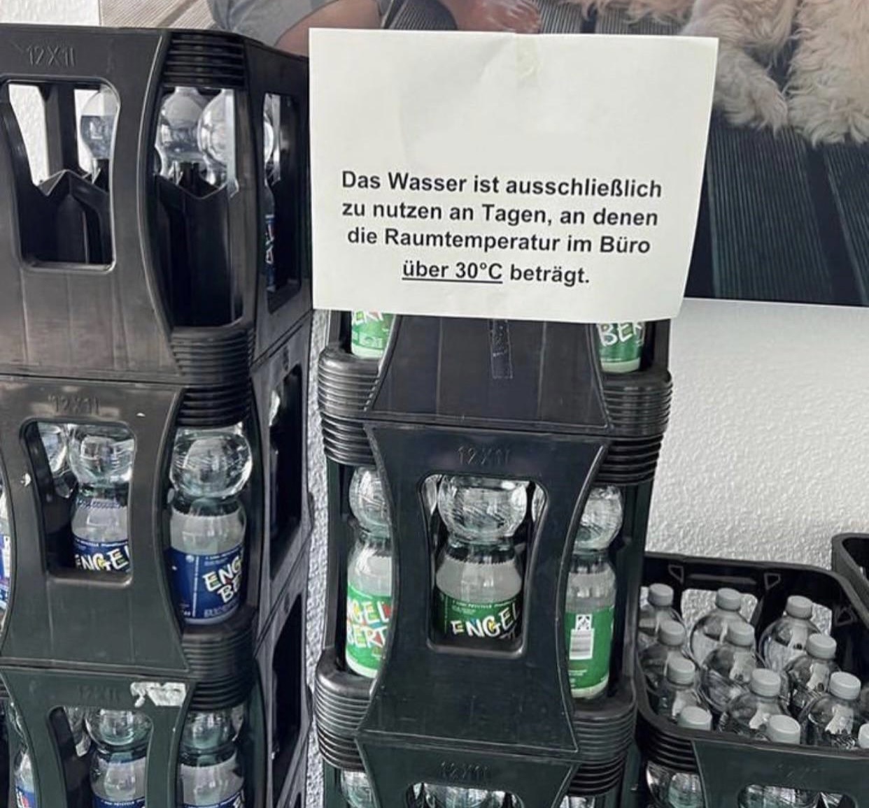 Zu gütig!