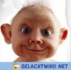 Älteste Bild im Internet
