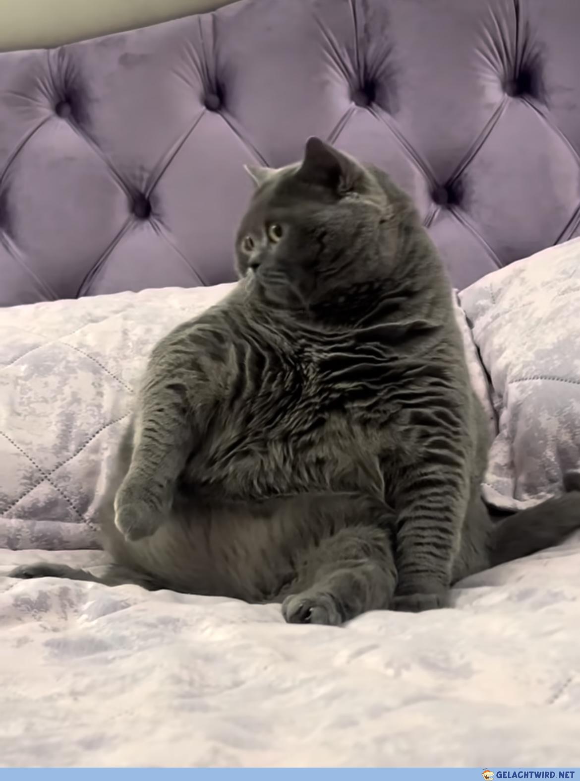 Ästhetik des Chonk