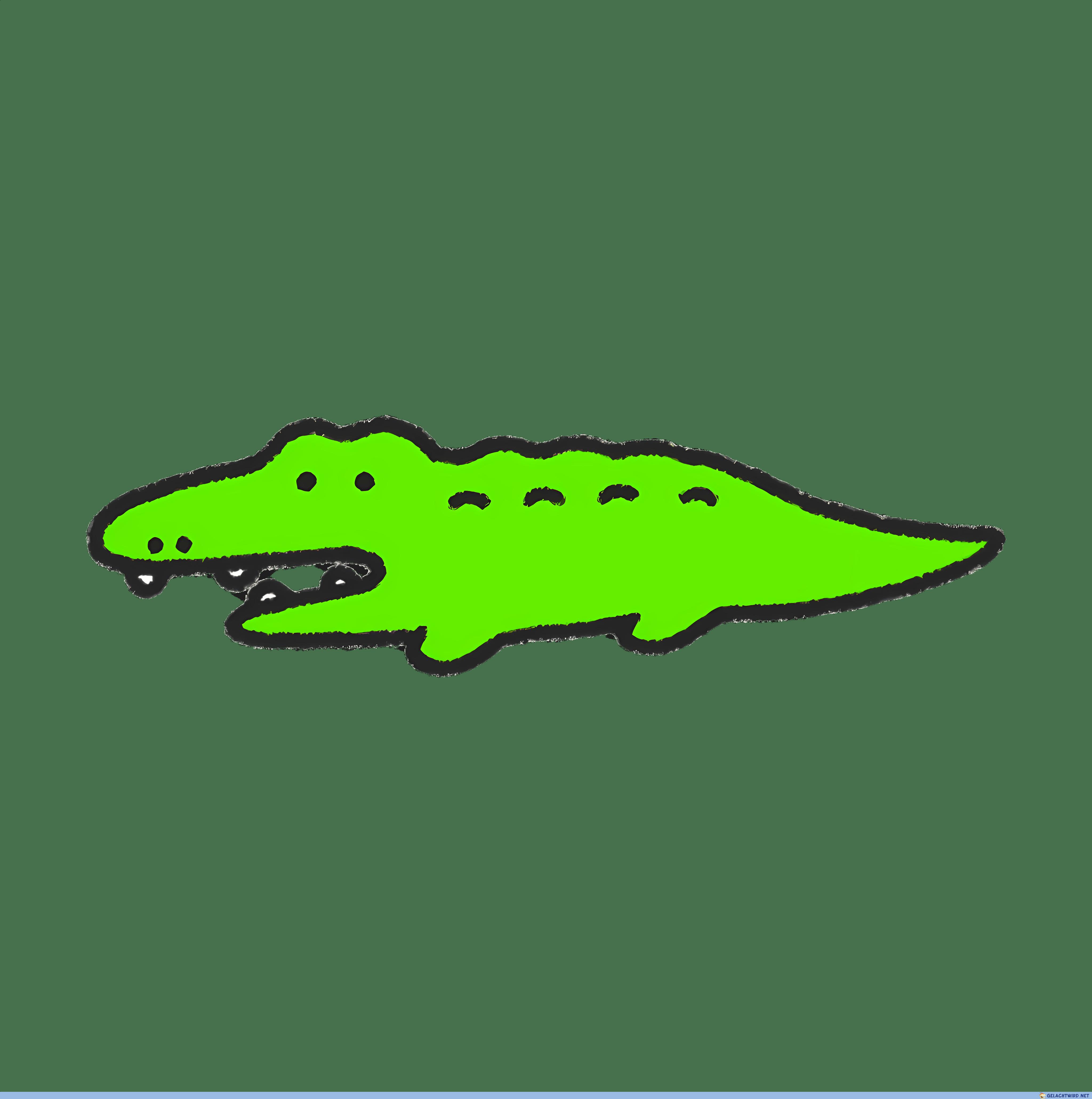 🐊