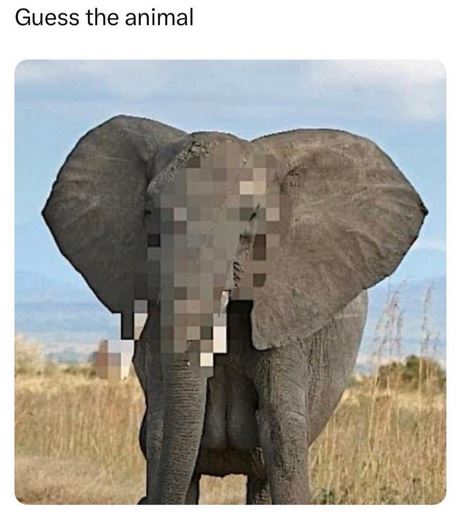 🤔